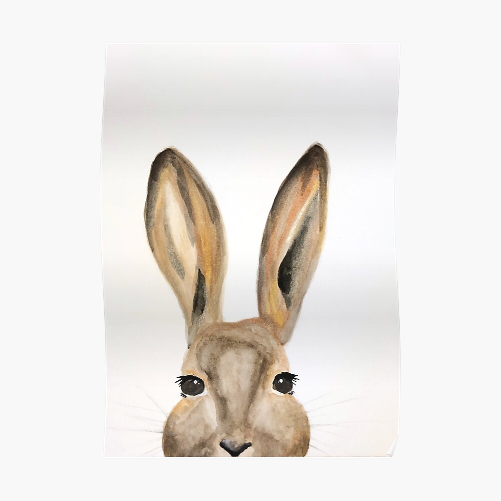 peek a boo peter rabbit