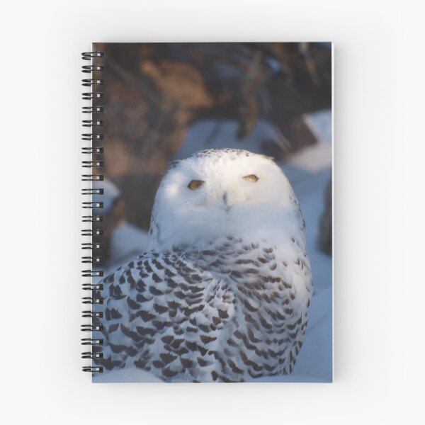 Artikelvorschau, snow owl entworfen und verkauft von Cheryl Dunning.