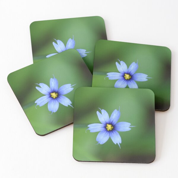 Item preview, Small wildflower designed and sold by Tonia Delozier's Photography .