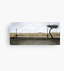 Calle Canvas Print