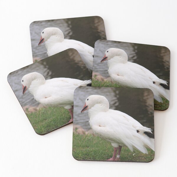 Item preview, snow goose designed and sold by Cheryl Dunning.