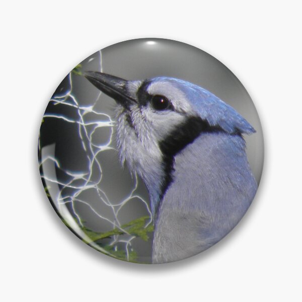 Item preview, i'm ready for my close up designed and sold by Cheryl Dunning.