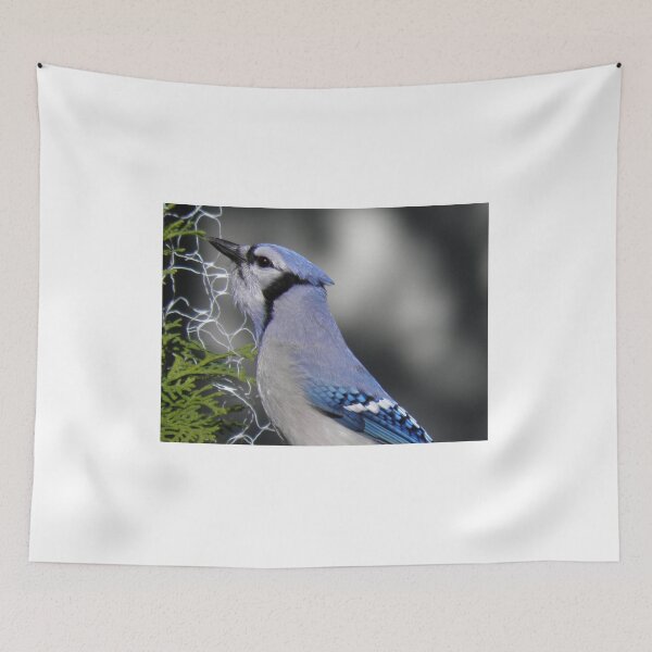 Item preview, i'm ready for my close up designed and sold by Cheryl Dunning.