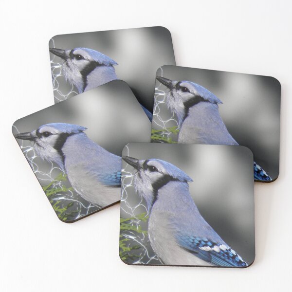 Item preview, i'm ready for my close up designed and sold by Cheryl Dunning.