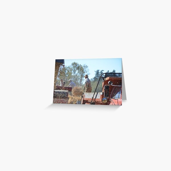 Fall Harvest Greeting Card