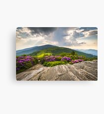 Jane Bald in Bloom - Roan Mountain Highlands Landscape Canvas Print