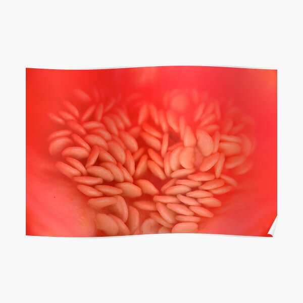 in the sacred heart of fertility Poster