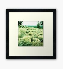 oregon high desert Framed Print