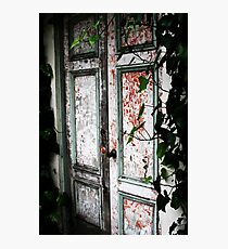 secret door Photographic Print