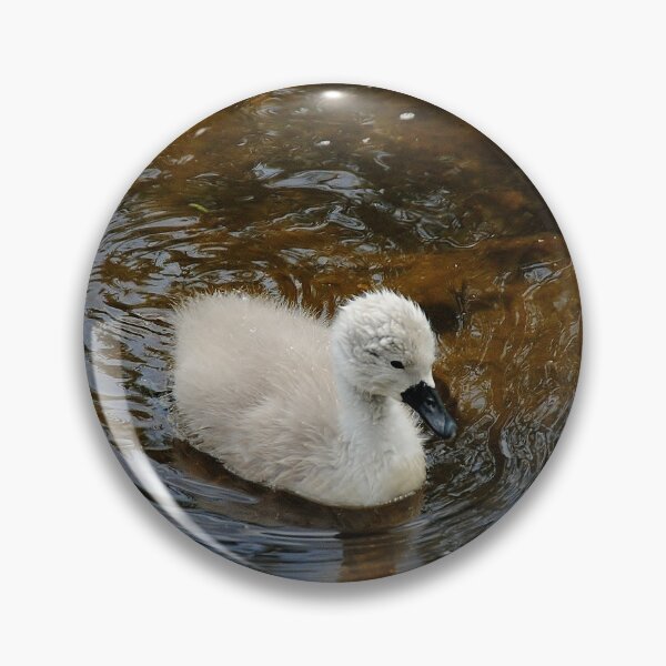 Item preview, Sweet swan on the River Avon designed and sold by Photography  by Mathilde.