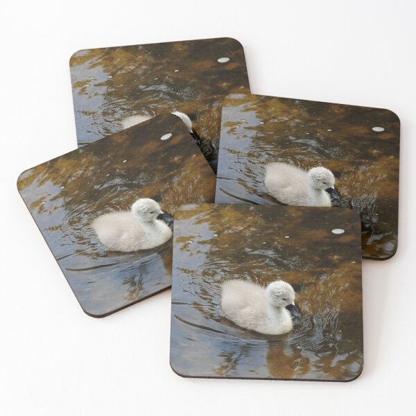 Item preview, Sweet swan on the River Avon designed and sold by Photography  by Mathilde.