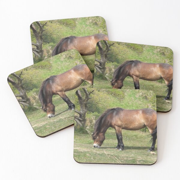 Item preview, Exmoor Pony designed and sold by pinkal.