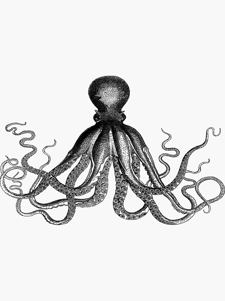 Krake | Weinlese-Krake | Tentakeln | Meeresbewohner | Nautik | Ozean | Meer | Strand | Schwarz und weiß | von EclecticAtHeART