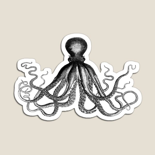Octopus | Vintage Octopus | Tentacles | Sea Creatures | Nautical | Ocean | Sea | Beach | Black and White |  Magnet