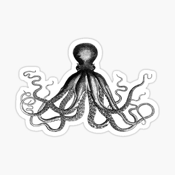 Octopus | Vintage Octopus | Tentacles | Sea Creatures | Nautical | Ocean | Sea | Beach | Black and White |  Sticker
