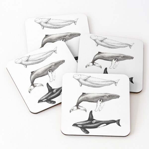 Item preview, Beluga, orca and humpback whale ink illustrations designed and sold by chloeyzoard.