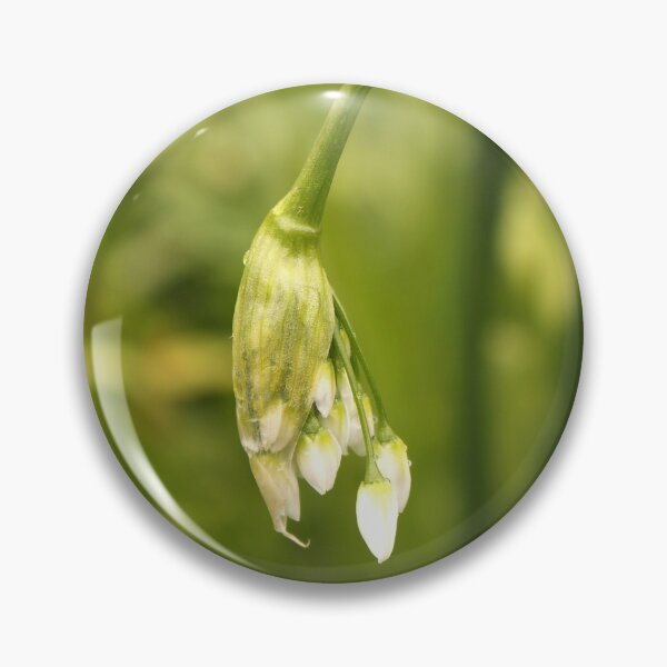 Item preview, Wild Garlic Buds designed and sold by pinkal.
