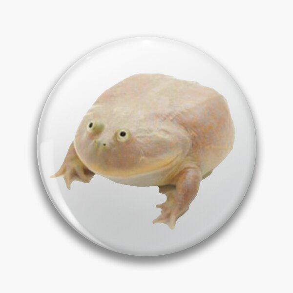 Fat Frog Meme Pin