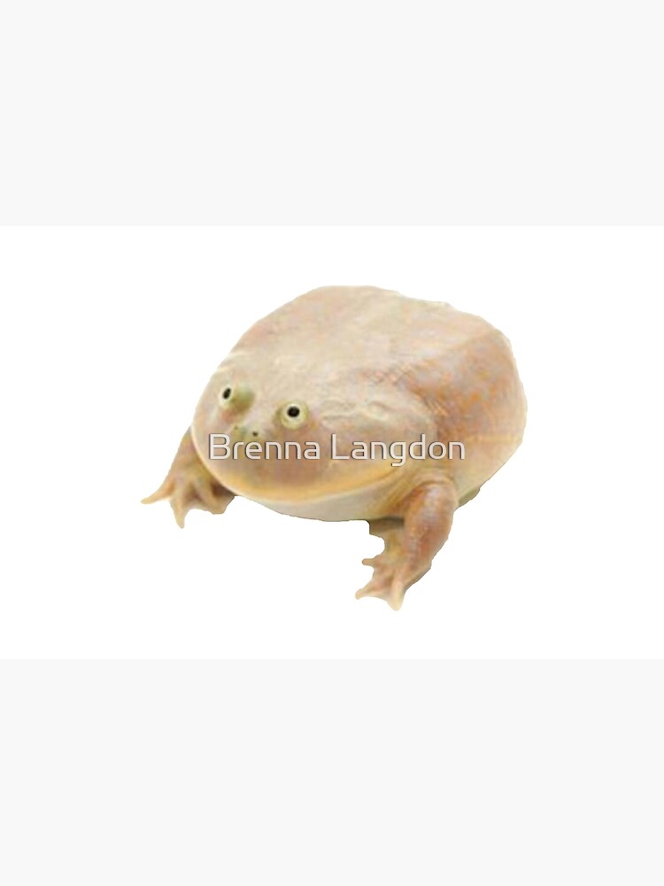 Pepehands Pocket Frog