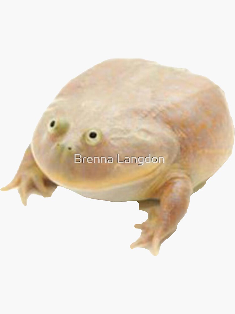 "Fat Frog Meme" Sticker for Sale by Bl10728 Redbubble