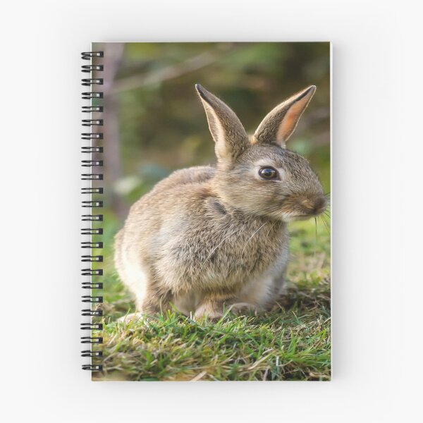 Item preview, Cute Wild Leveret Curiosity designed and sold by Alius Imago.