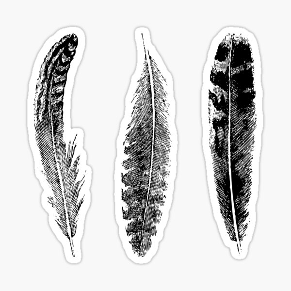 Feather Trio | Three Feathers | Bird Feathers | Vintage Feathers | Black  and White | Sticker for Sale by EclecticAtHeART