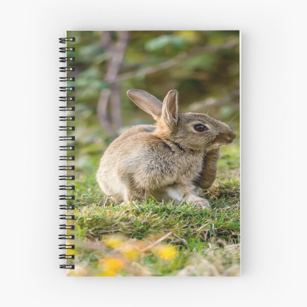 Item preview, Cute Wild Leveret a Little Itch designed and sold by Alius Imago.