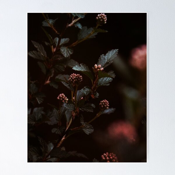 Item preview, Between light and shadow designed and sold by Duygu  Tasi.