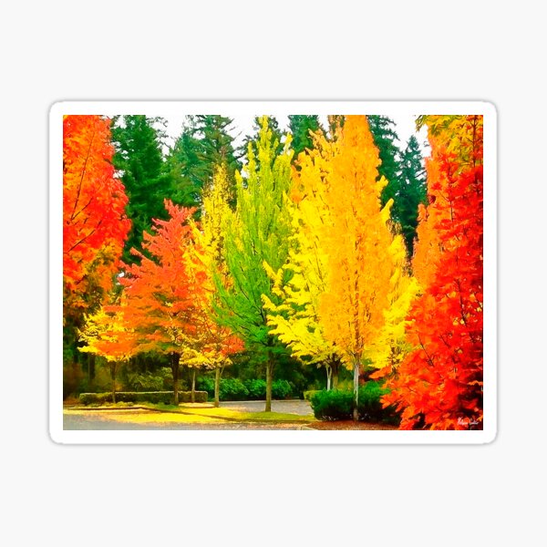 HC0468 Sticker
