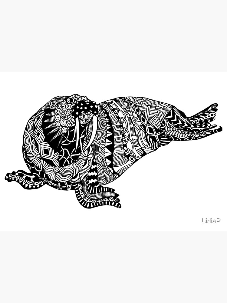 "Walrus Drawing" Art Print for Sale by LidiaP | Redbubble