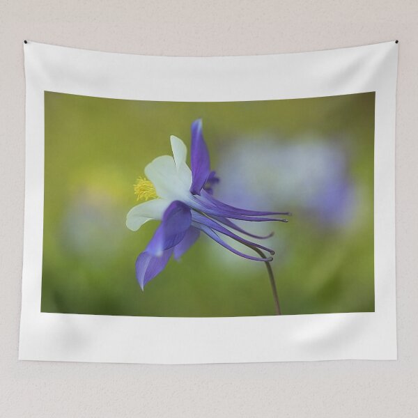 Item preview, Aquilegia Sunshine designed and sold by clint hudson.