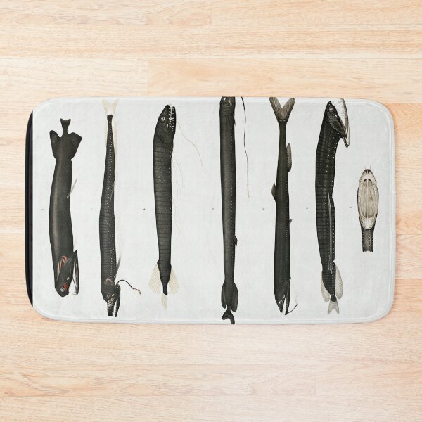 Item preview, Print of Illustrated Eel Poster designed and sold by Slydell1.