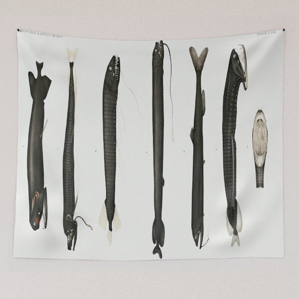 Item preview, Print of Illustrated Eel Poster designed and sold by Slydell1.