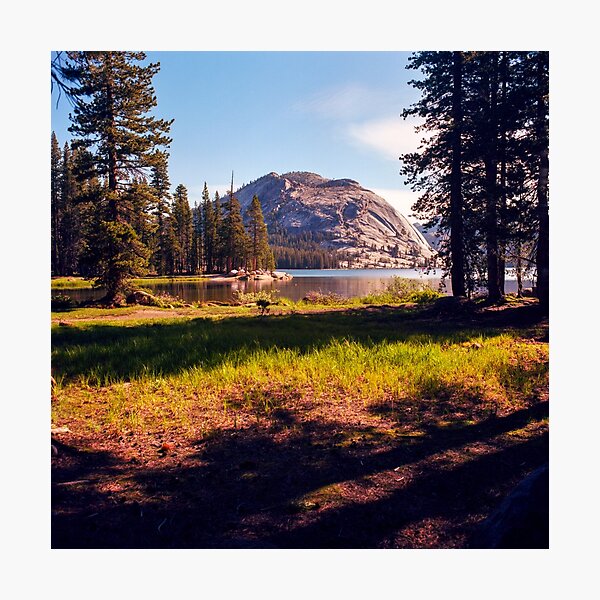 Tenaya Lake. Yosemite National Park, CA. Photographic Print