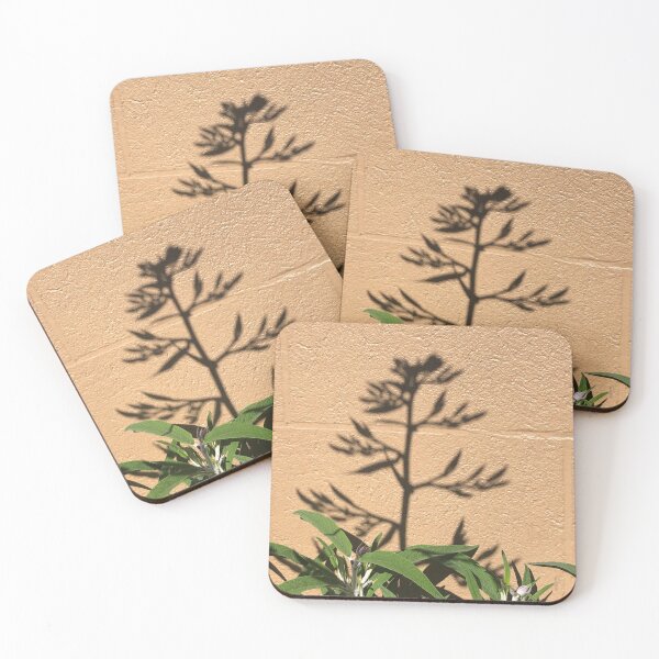 Item preview, Plant shadow designed and sold by SavannahSale.