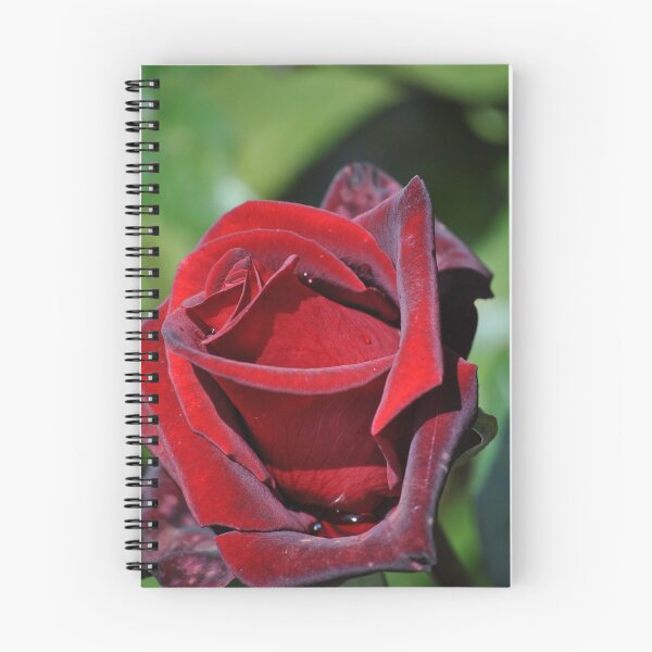 Item preview, Raindrops on a Red Rose designed and sold by Tamara McDonnell.