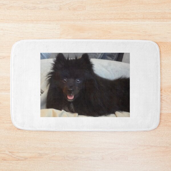 Item preview, Black Pom Repose designed and sold by jennyleeandjim.
