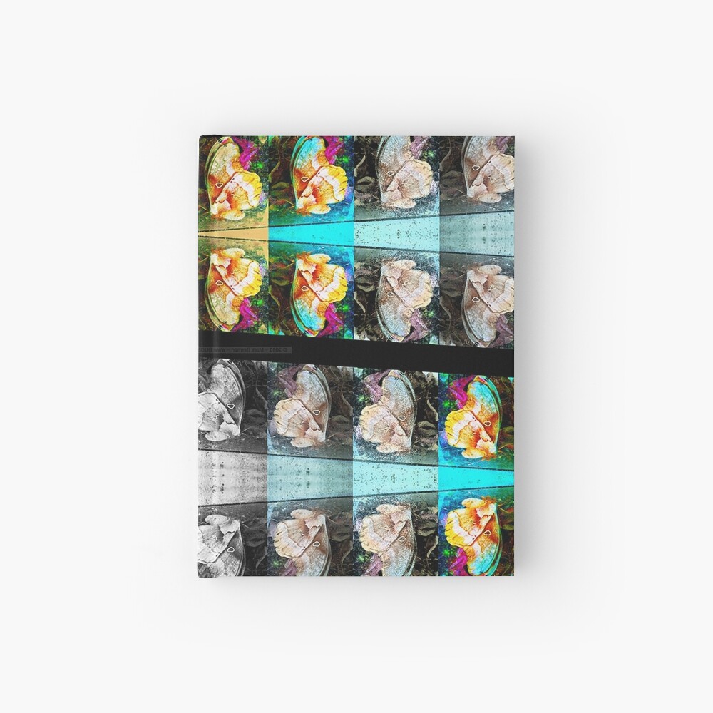 Polyphemus art Hardcover Journal