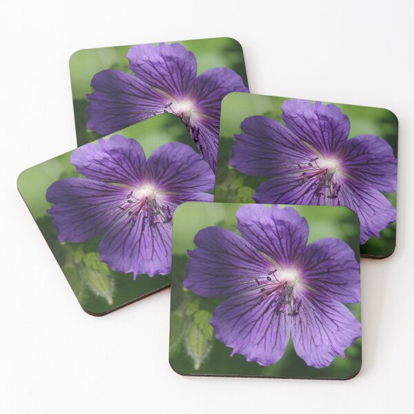 Item preview, Geranium designed and sold by frogs123.
