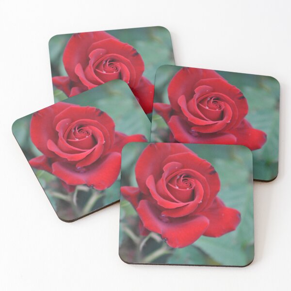 Item preview, Red, Red Rose designed and sold by Tamara McDonnell.