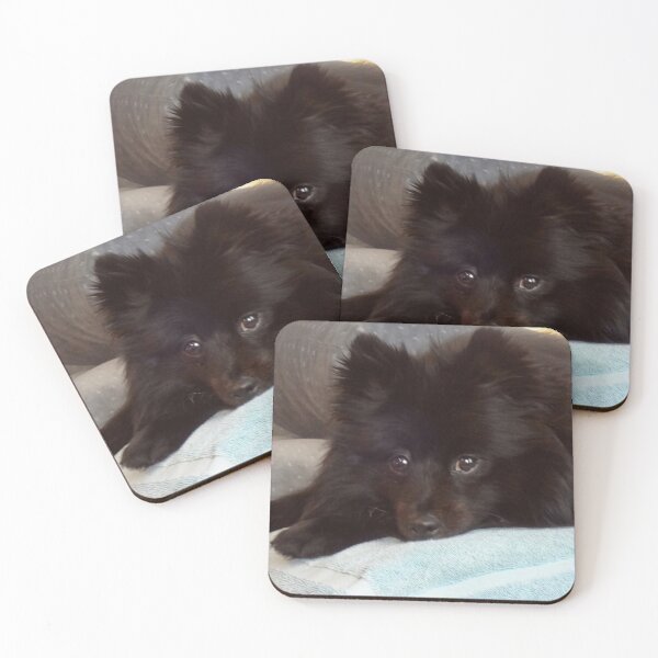 Item preview, Pom Repose This little black puppy looks very innocent  until he hears the slightest noise and he is off to the races to track it down. designed and sold by jennyleeandjim.