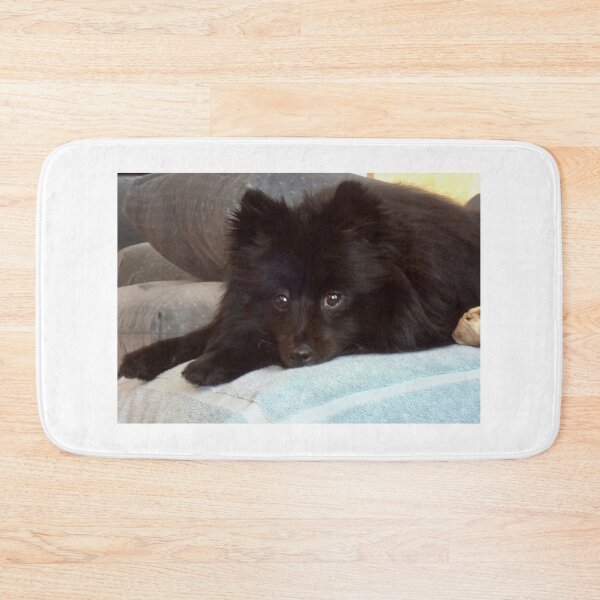 Item preview, Pom Repose This little black puppy looks very innocent  until he hears the slightest noise and he is off to the races to track it down. designed and sold by jennyleeandjim.