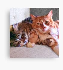 "Sophie & Ginger" Close Up Canvas Print