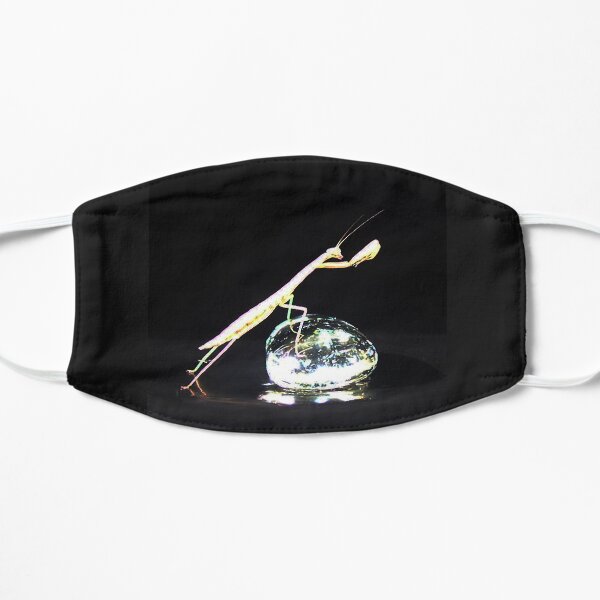 Reach for the Sky Mantis Mask