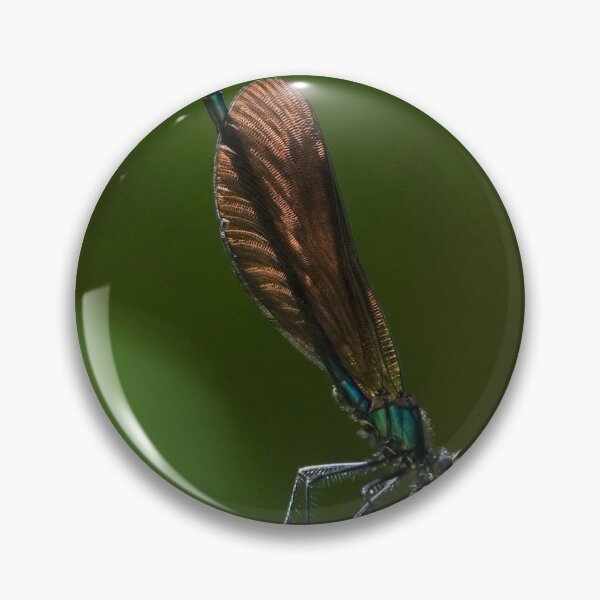 Item preview, Damselfly designed and sold by frogs123.
