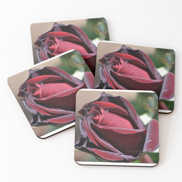 Item preview, Details of a Black Magic Rose designed and sold by Tamara McDonnell.