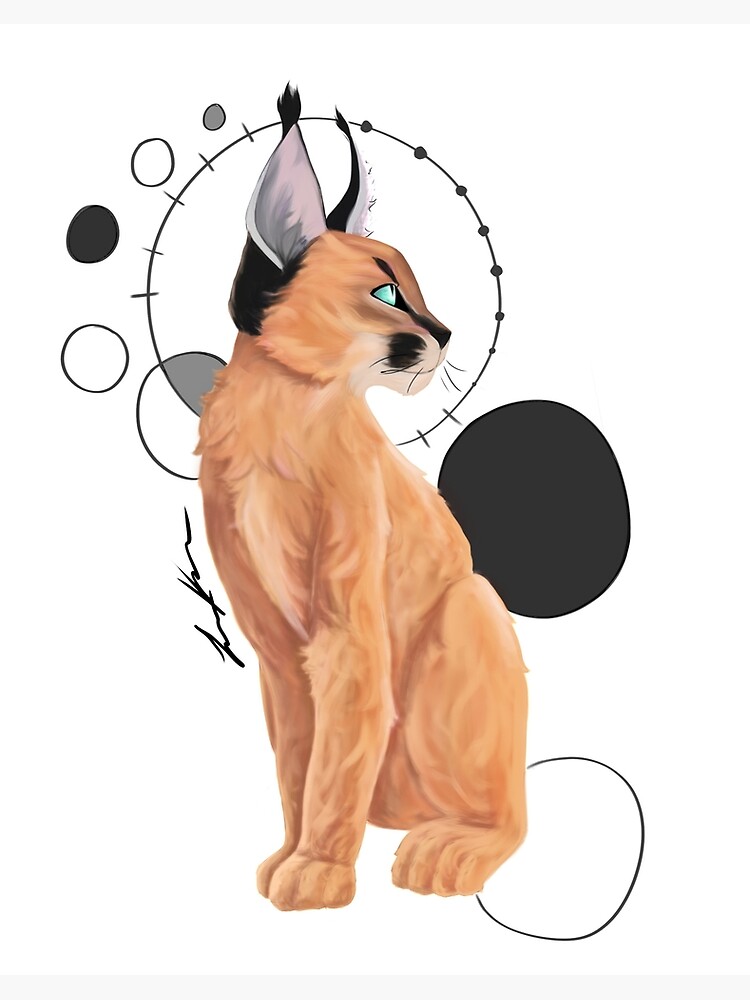 Caracal Cat One | Art Board Print