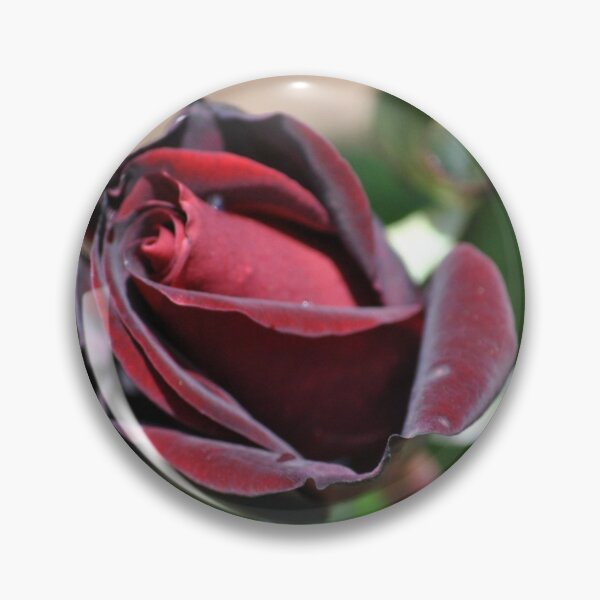 Artikelvorschau, Black Magic Rose entworfen und verkauft von Tamara McDonnell.