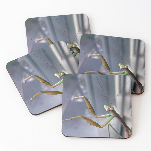 Item preview, Chinese Mantis designed and sold by mark-bugs-org.
