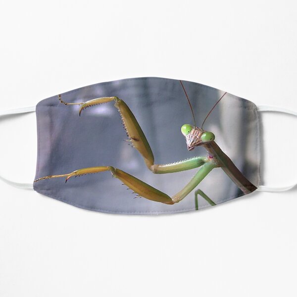 Chinese Mantis Mask